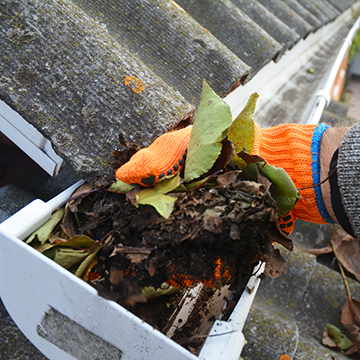 Gutter & Downspout Cleaning